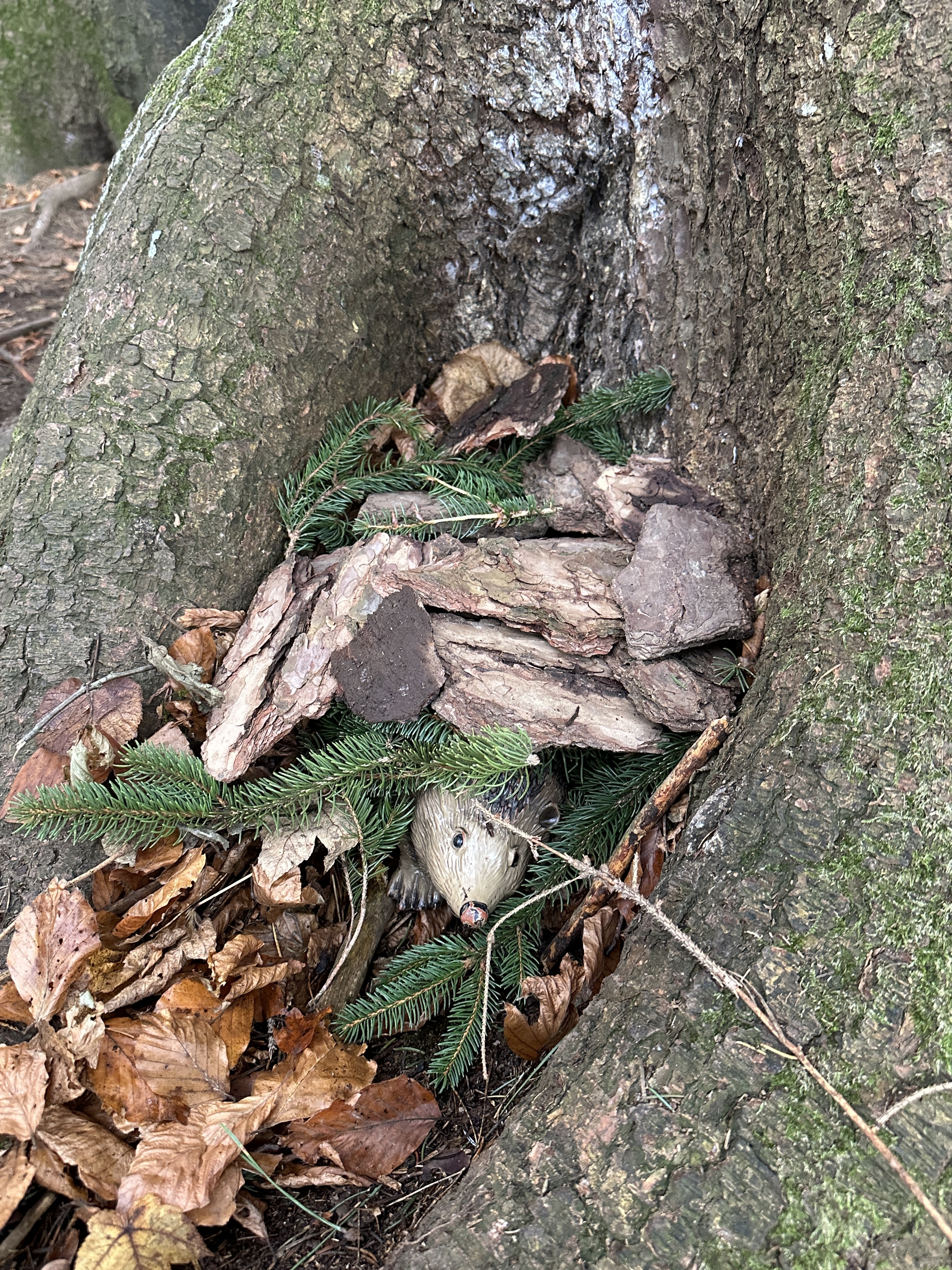 Musterbild